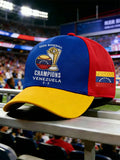 Unisex 2026 Venezuela WBC Baseball Championship Celebration Printed Baseball Hat
